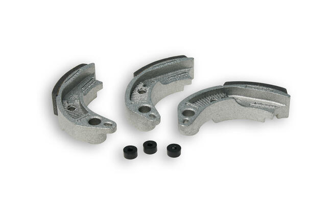 Complessivo Masse Frizione Per Frizione Automatica Regolabile Delta Clutch  Malossi 529033