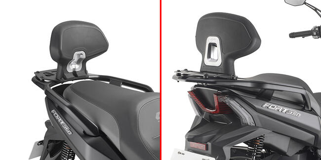 Schienalino Qj Motor Fort 350 Givi Tb9700a